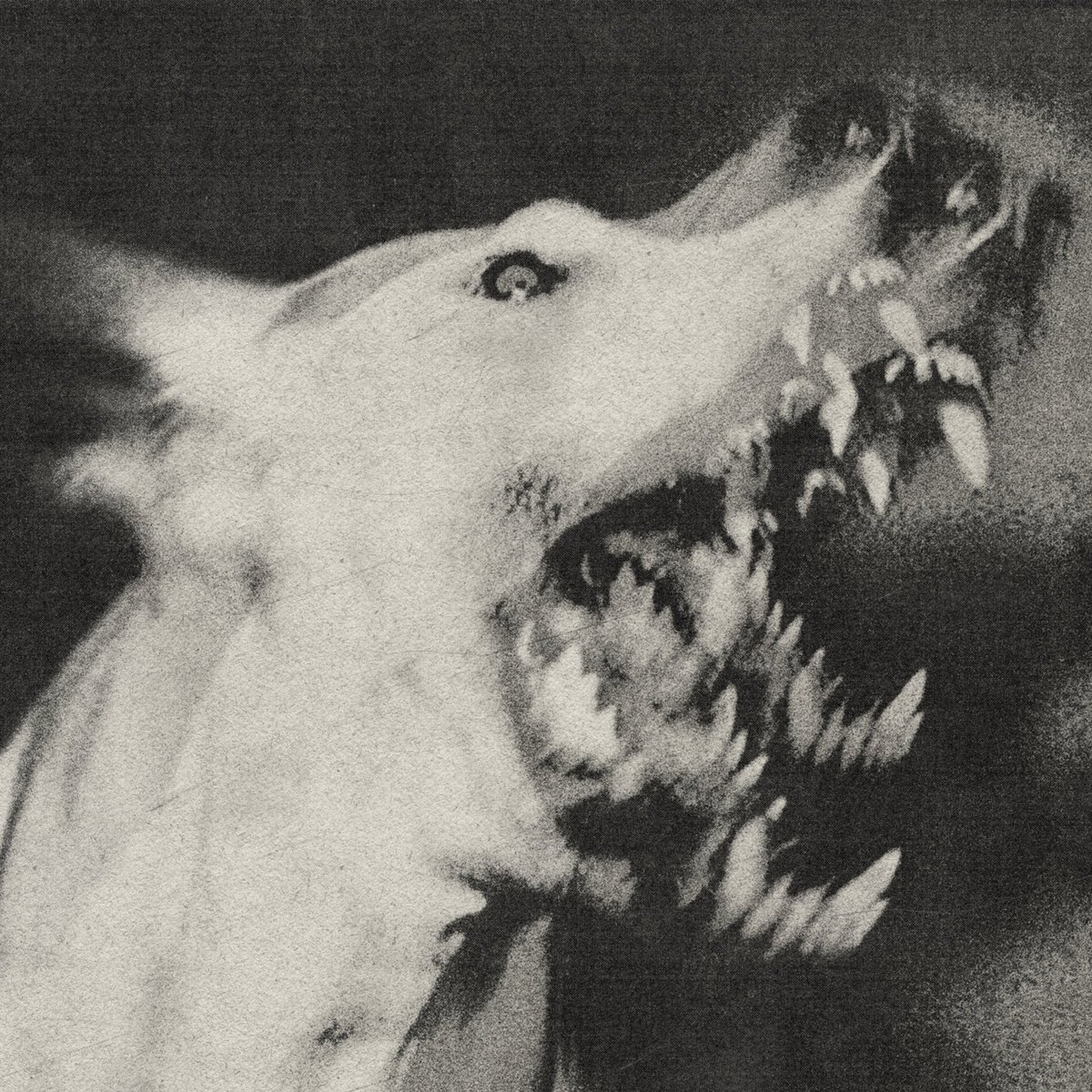 Cisnienie – (angry noise)