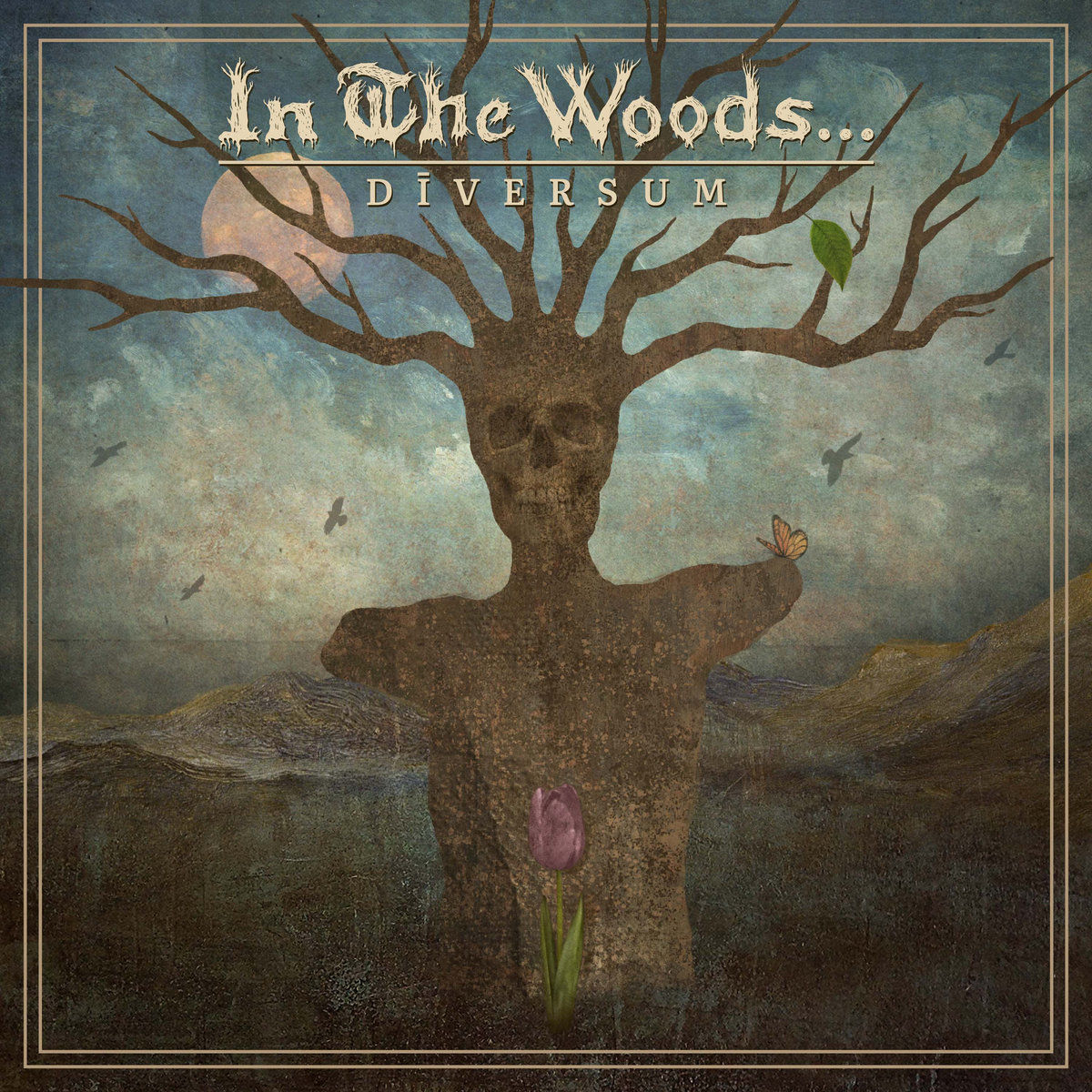 In The Woods… – Diversum