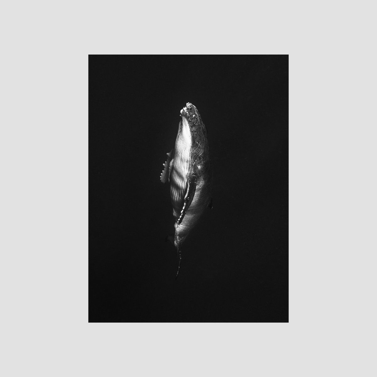 PLUHM – Ambienti e Rovine