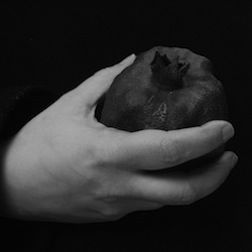 Winter Severity Index – Survival Rate