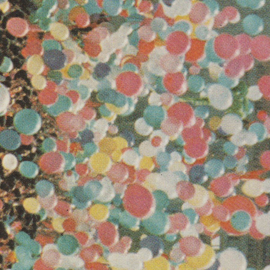 Van Houten – The Tallest Room