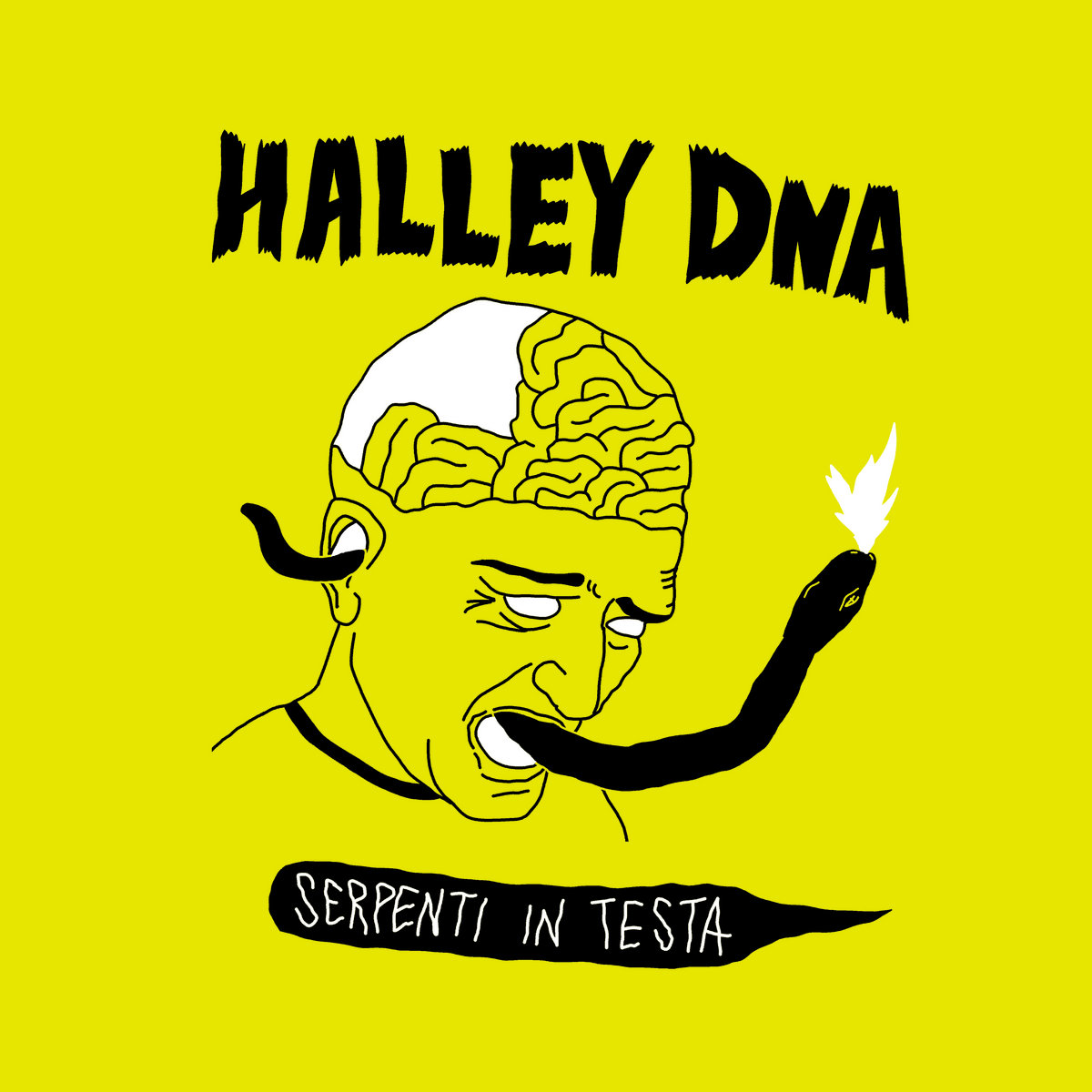 Halley DNA – Serpenti in testa
