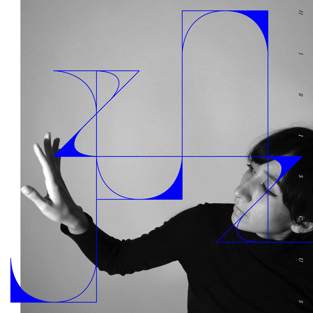 J. Zunz – Hibiscus