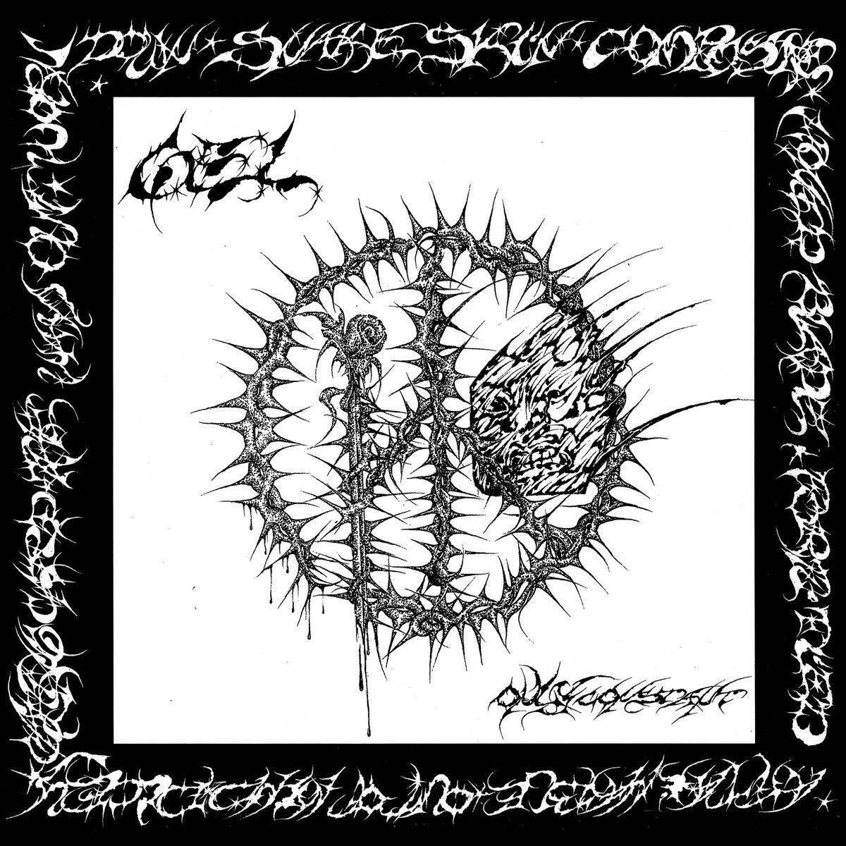 Gel – Only Constant