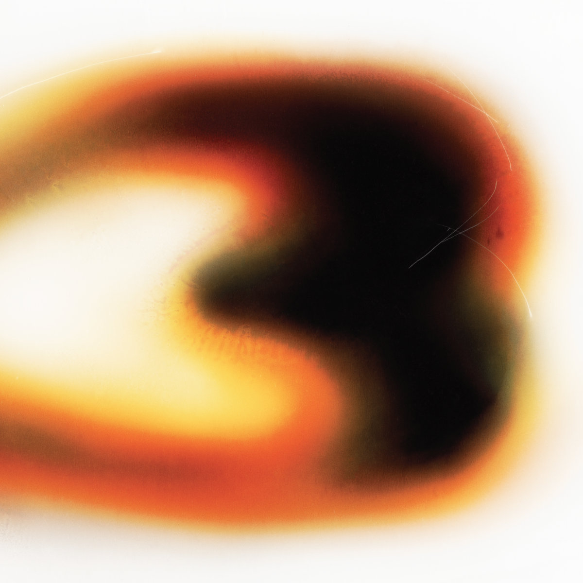 Still House Plants – If I don’t make it, I love u