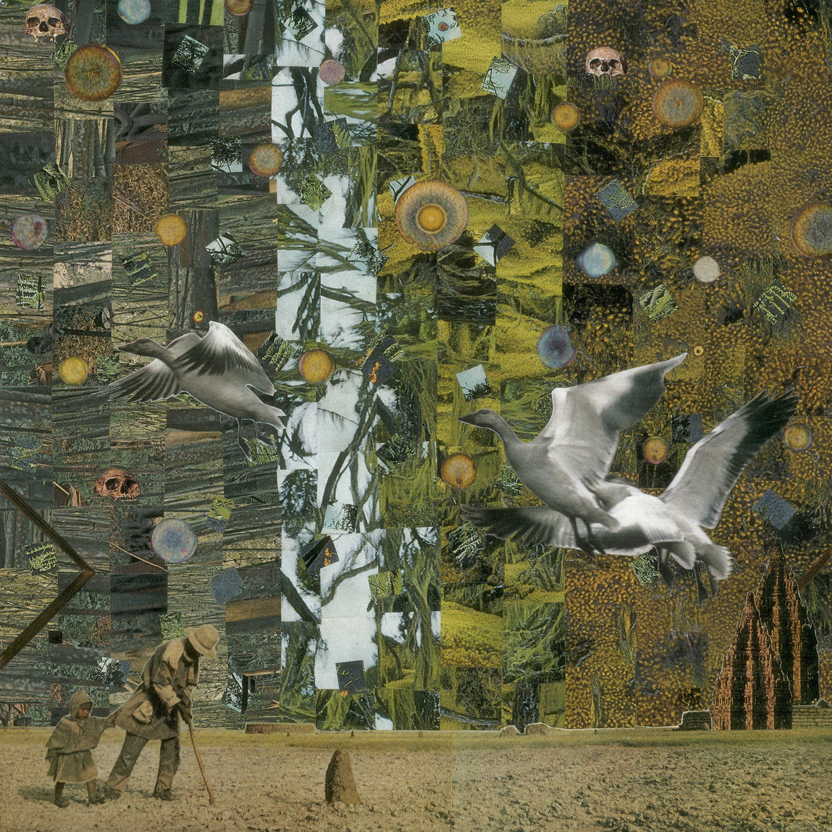 William Ryan Fritch – Built Upon A Fearful Void