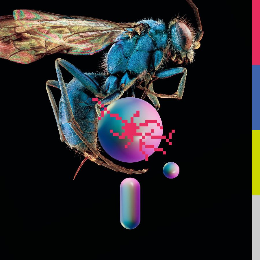 Teeth of The Sea – Hive