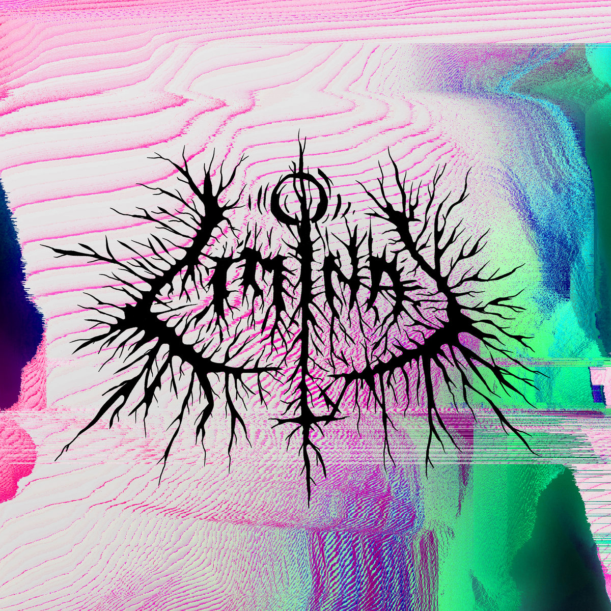 Petbrick – Liminal