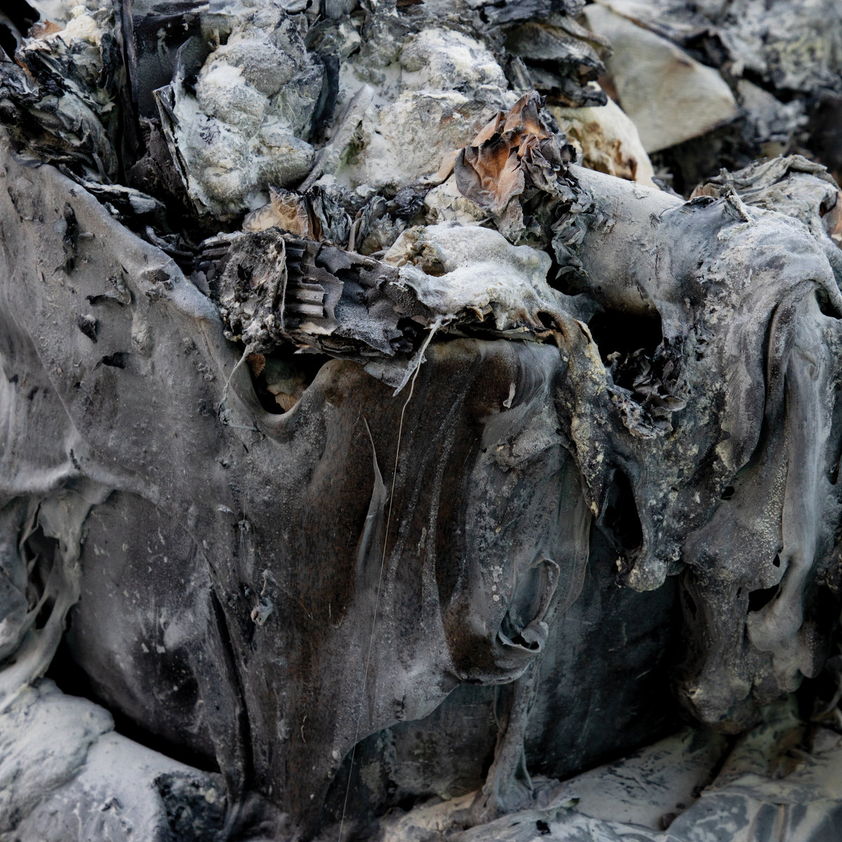 Annihilus – Follow A Song From The Sky