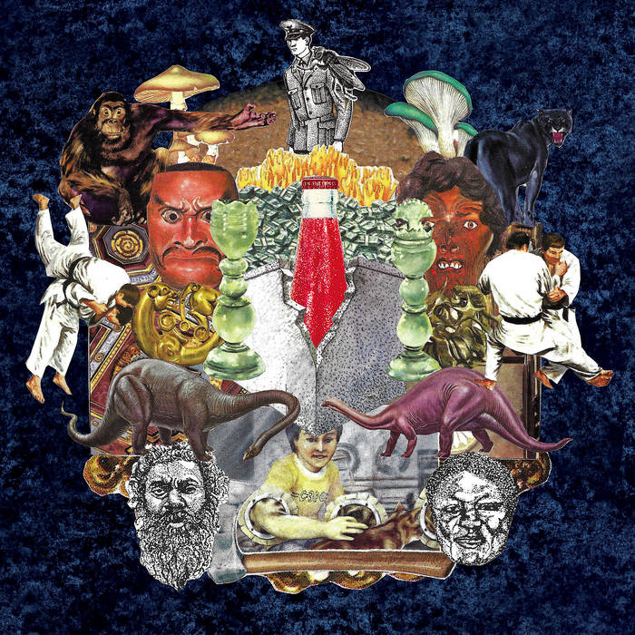 Asino – Natura/Morta