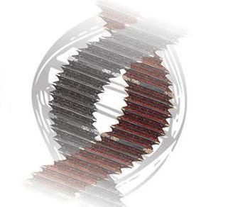 Pablo Corradini Quintet – Betango