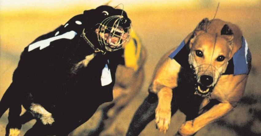 “Parklife” dei Blur, la storia infinita