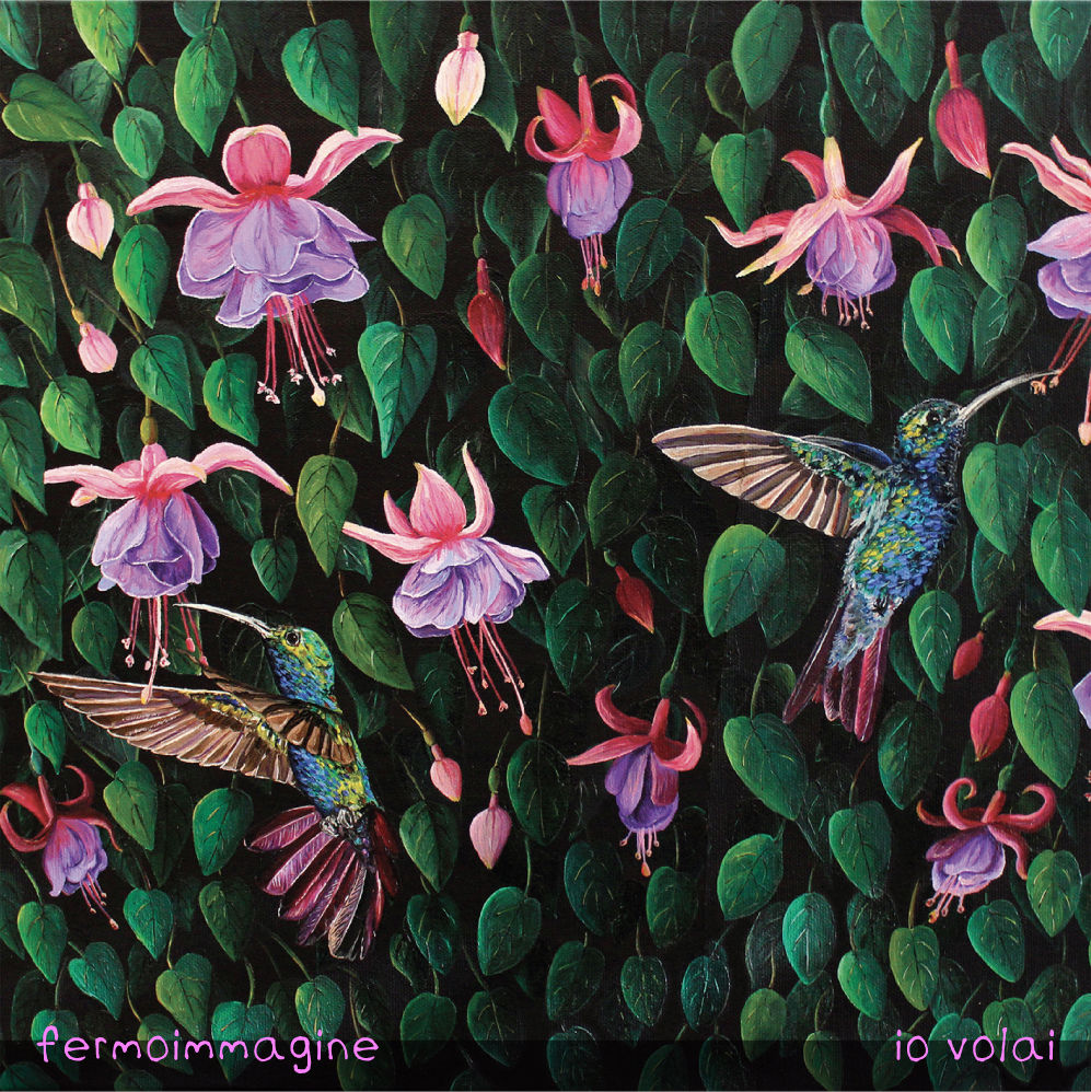 FermoImmagine – Io Volai