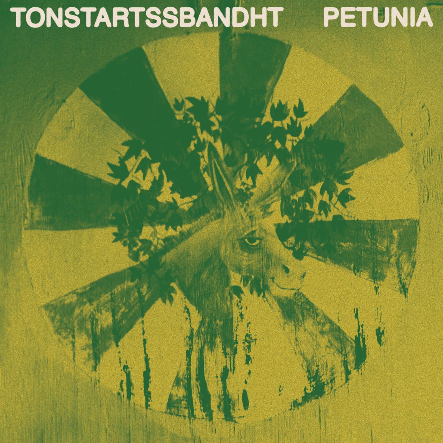 Tonstartssbandht – Petunia