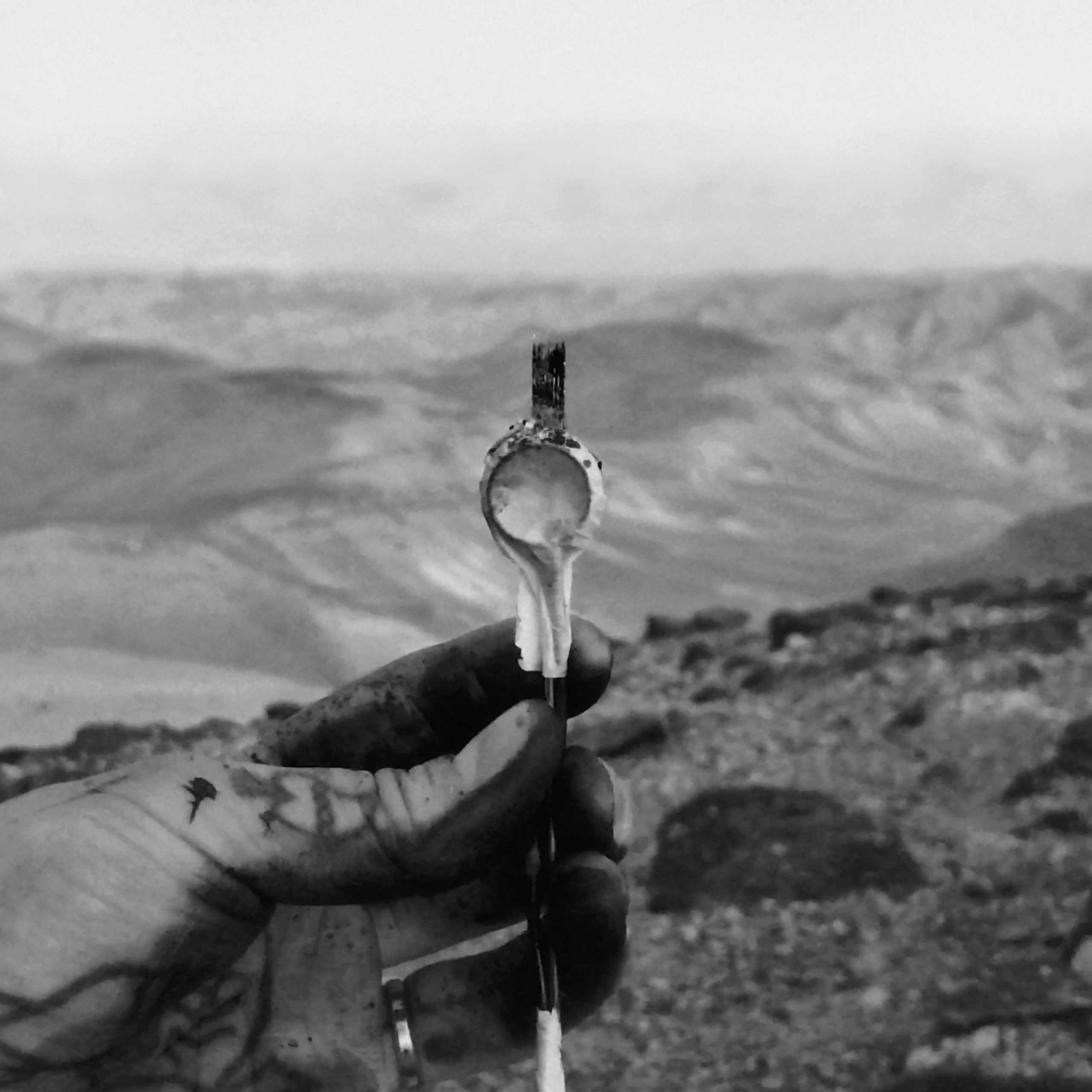 Body Of Reverbs – Judaean Desert