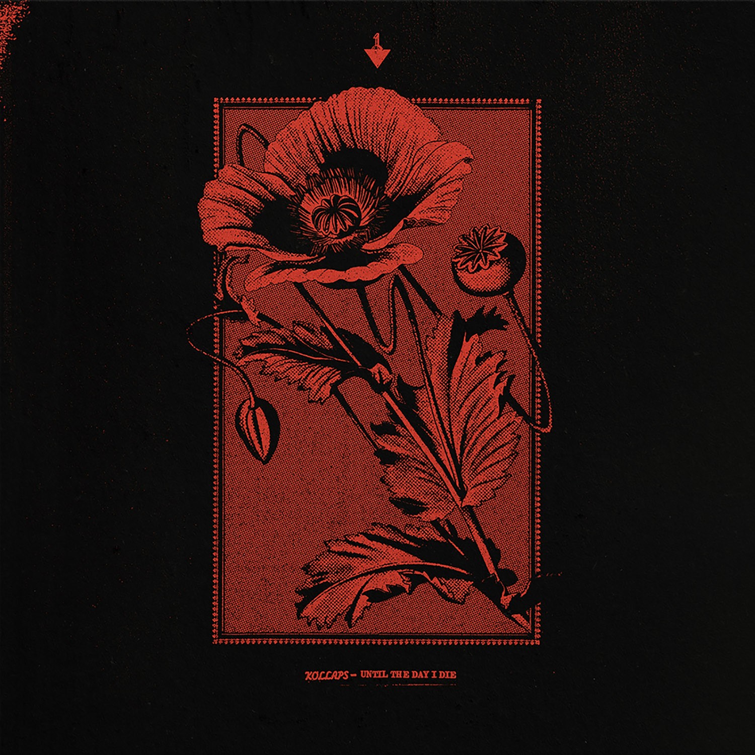 Kollaps – Until The Day I Die