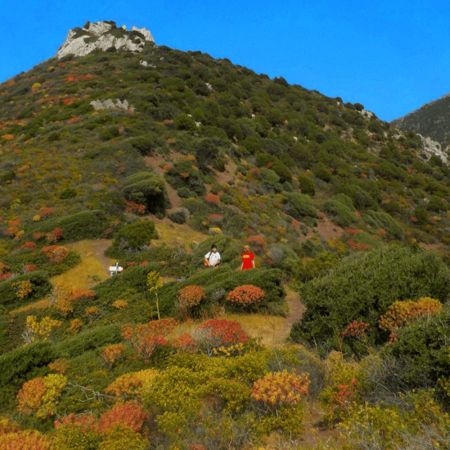 faccianuvola – il dolce ricordo della nostra disperata gioventù