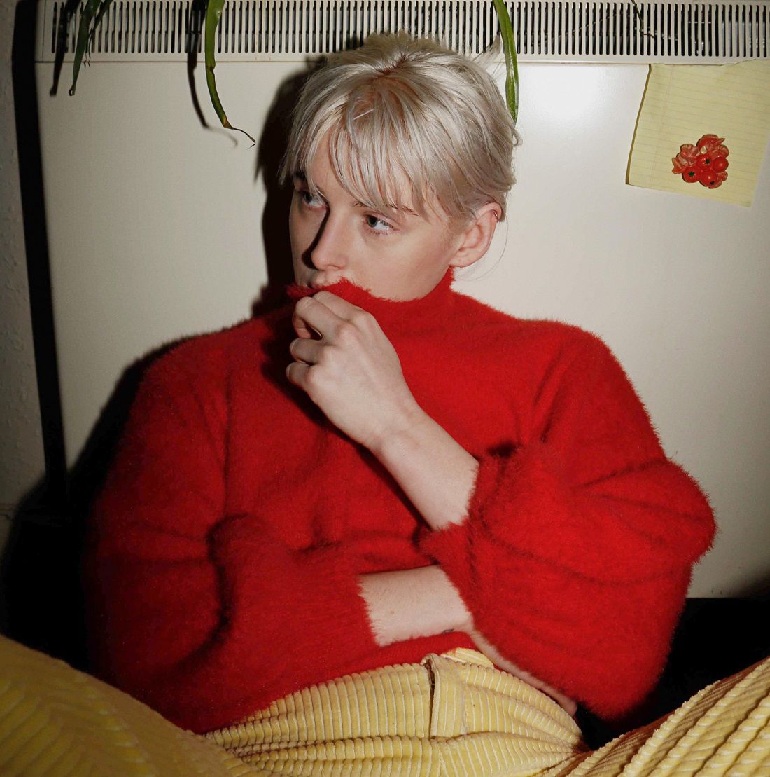 Fenne Lily – Breach