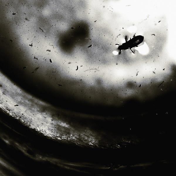 Fragment. – Nothing Will Ever Be The Same