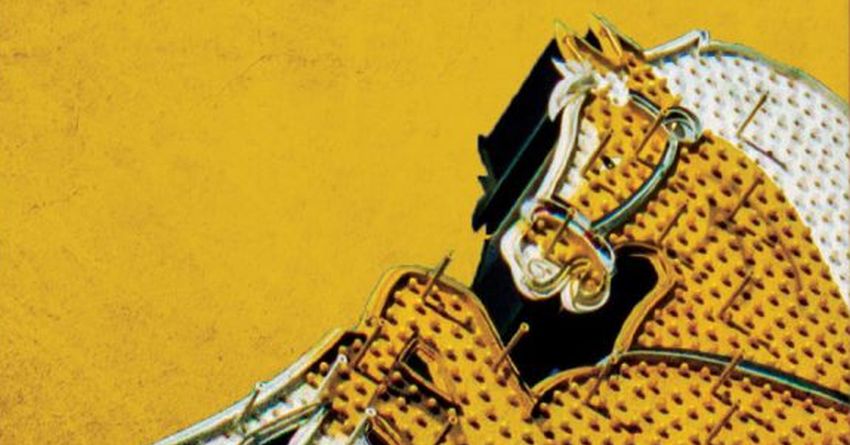 Tra solitudine e speranza: la fragile umanità de “Il cavallo” di Willy Vlautin