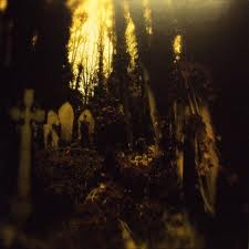 Ivy Garden Of The Desert – Docile