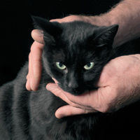 Peter Kernel – White Death Black Heart