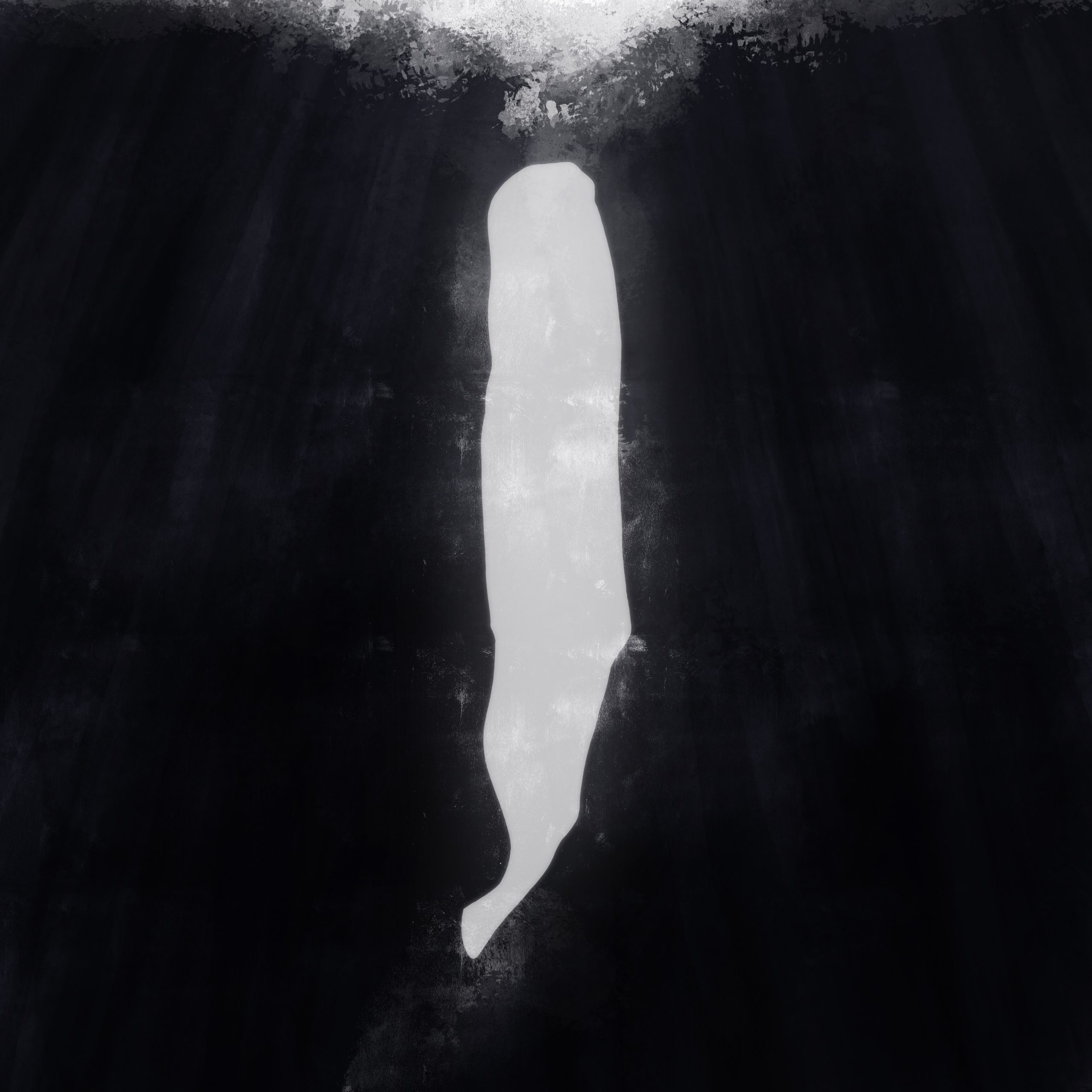 Phomea – Il sonno delle balene