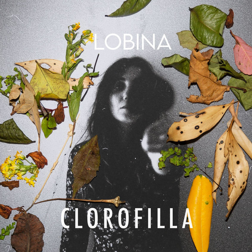 Lobina – Clorofilla