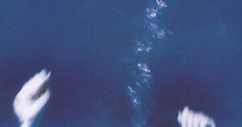 “Like Swimming”, il canto del cigno (nero) dei Morphine