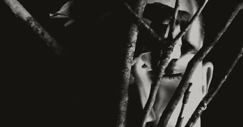 “Gli alberi non vogliono”, dialogo tra natura e rumore: intervista a Naresh Ran