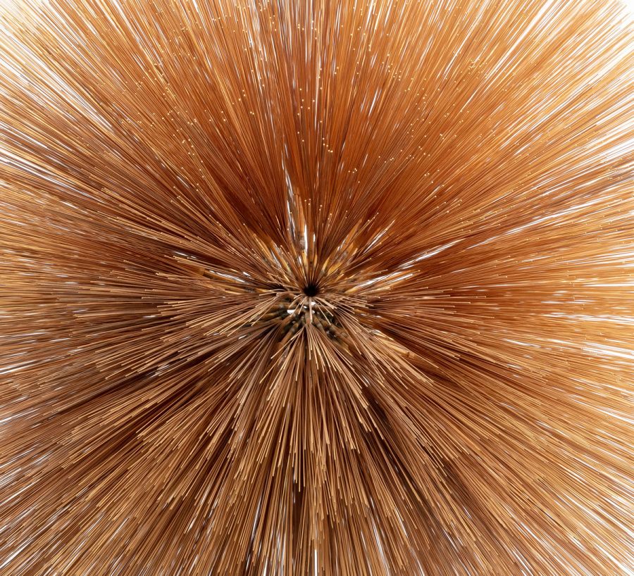 Patricia Brennan – Of the Near and Far