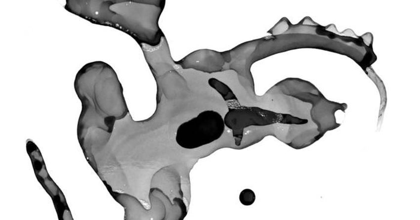 Première: SHIGARAKI – Planetes