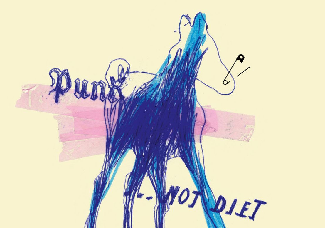 GIARDINI DI MIRÒ: a febbraio la ristampa in vinile di “Punk…Not Diet!”