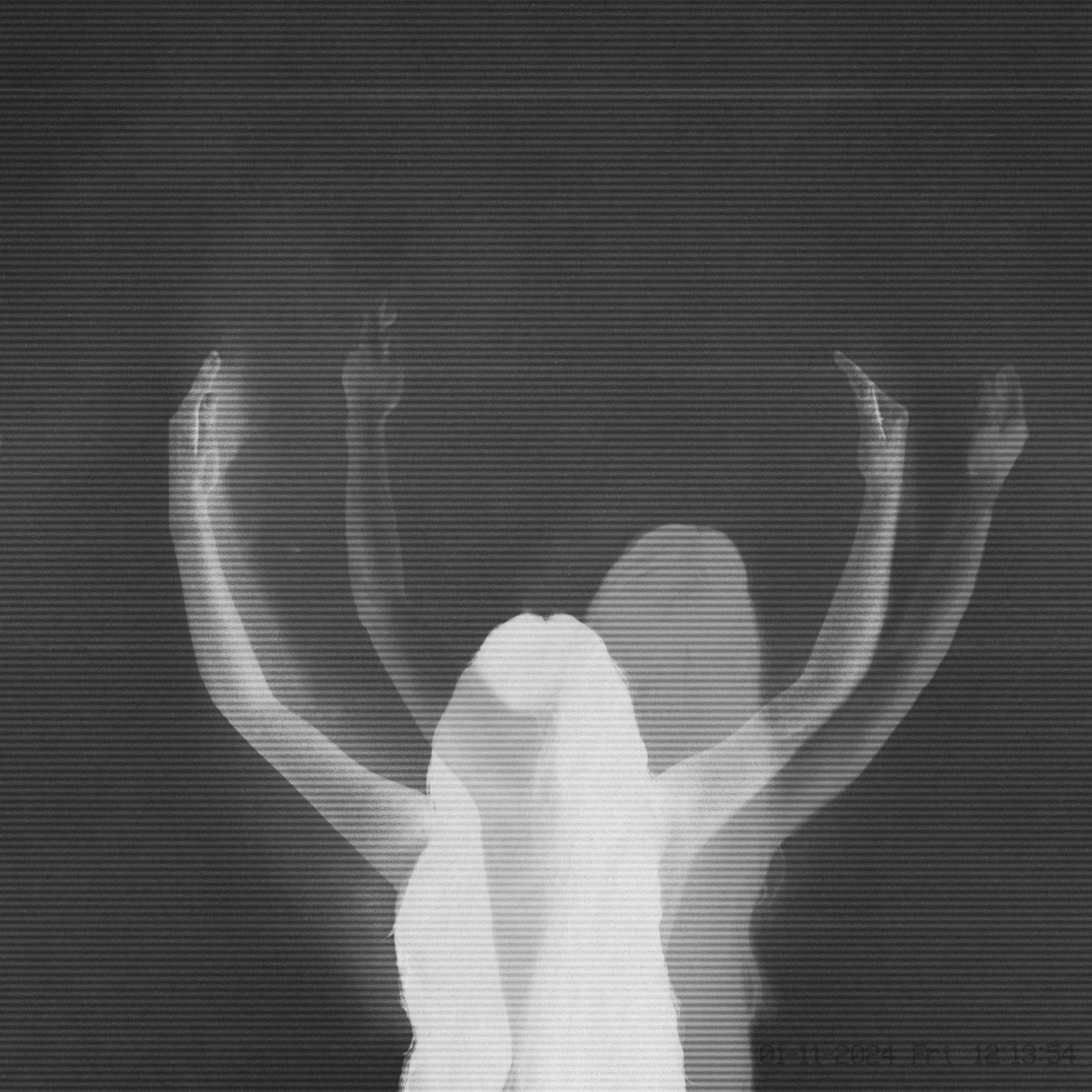 Julie’s Haircut – Radiance Opposition