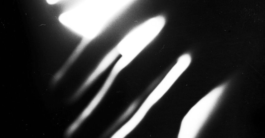 Di una foresta non vedi che l’ombra: intervista ai Radura