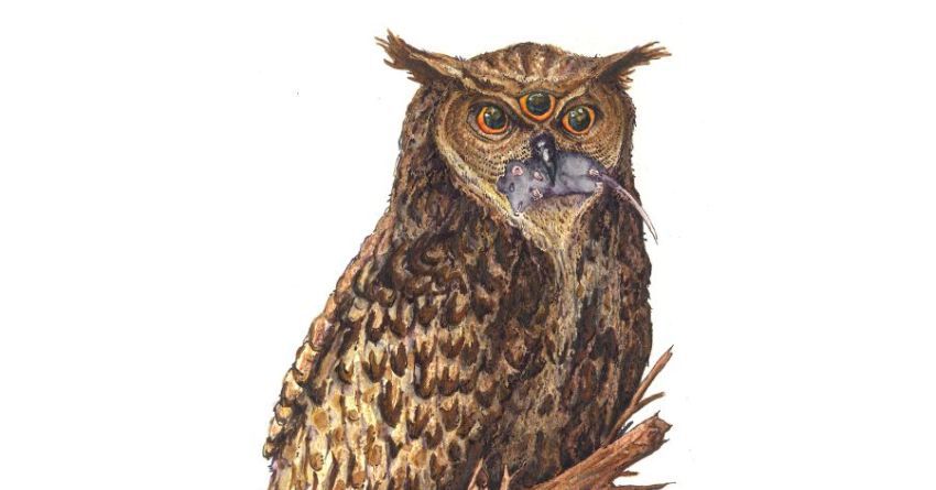 Première: RIAH/POSTVORTA – RIAHPSTVRT