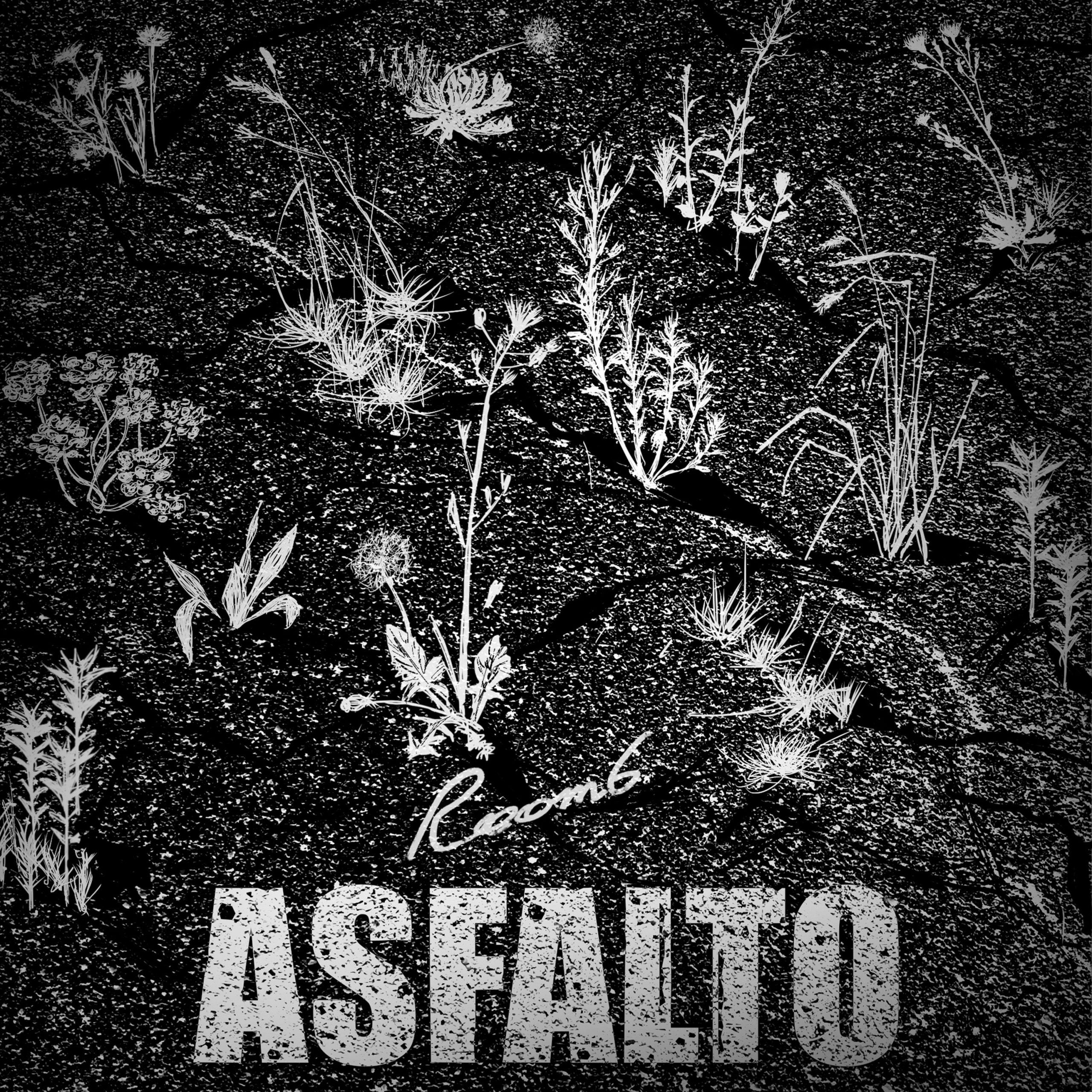 Room6 – Asfalto