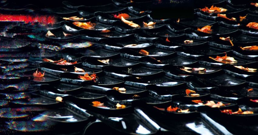 La bellezza del decadimento: “Sabi” è il nuovo album di Eraldo Bernocchi e Hoshiko Yamane