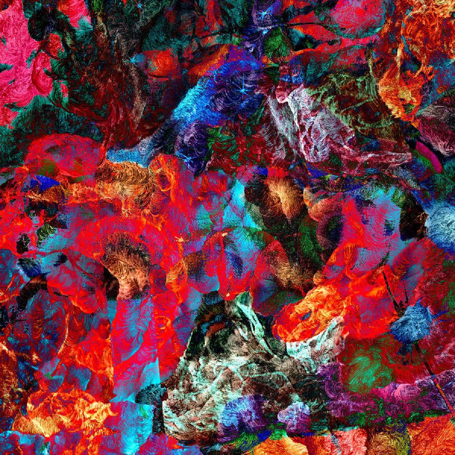 San Leo – Aves Raras