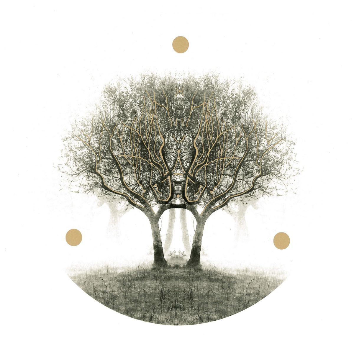 Lili Refrain – ULU