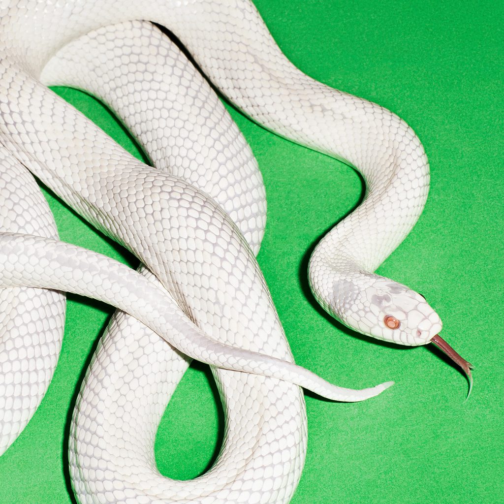 Deftones – private music