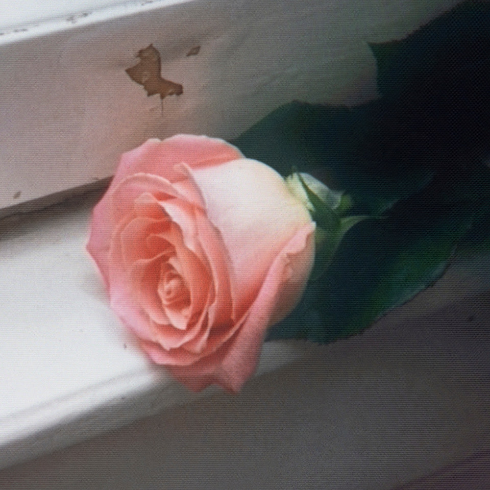 Planet Funk – Blooom