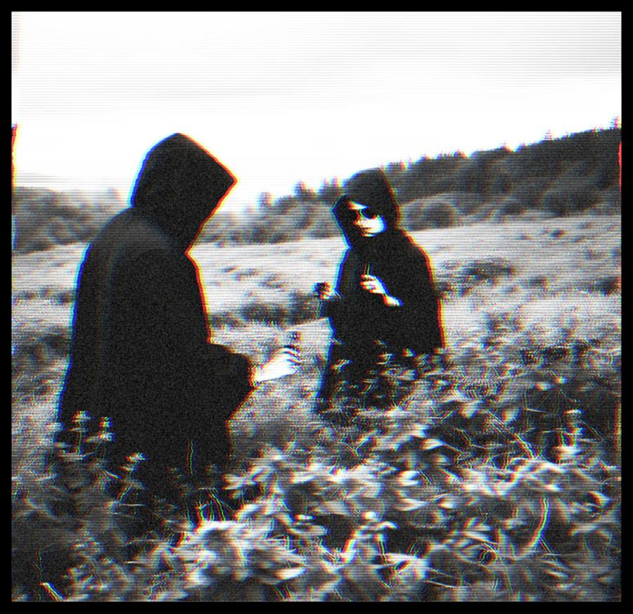 COLD CAVE: il nuovo brano “Blackberries”