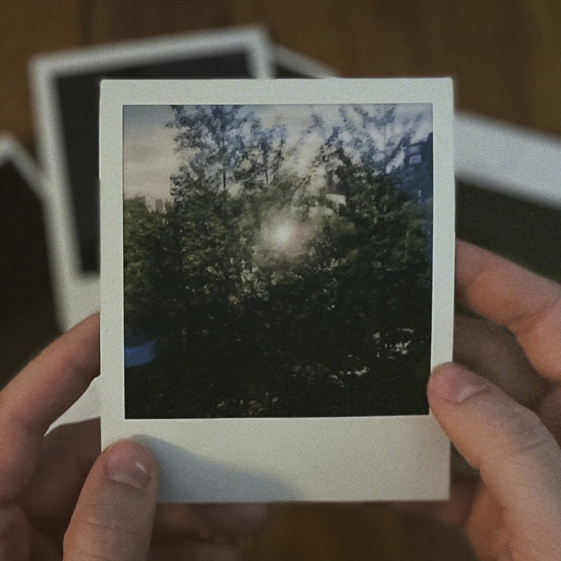 Vines – Birthday Party