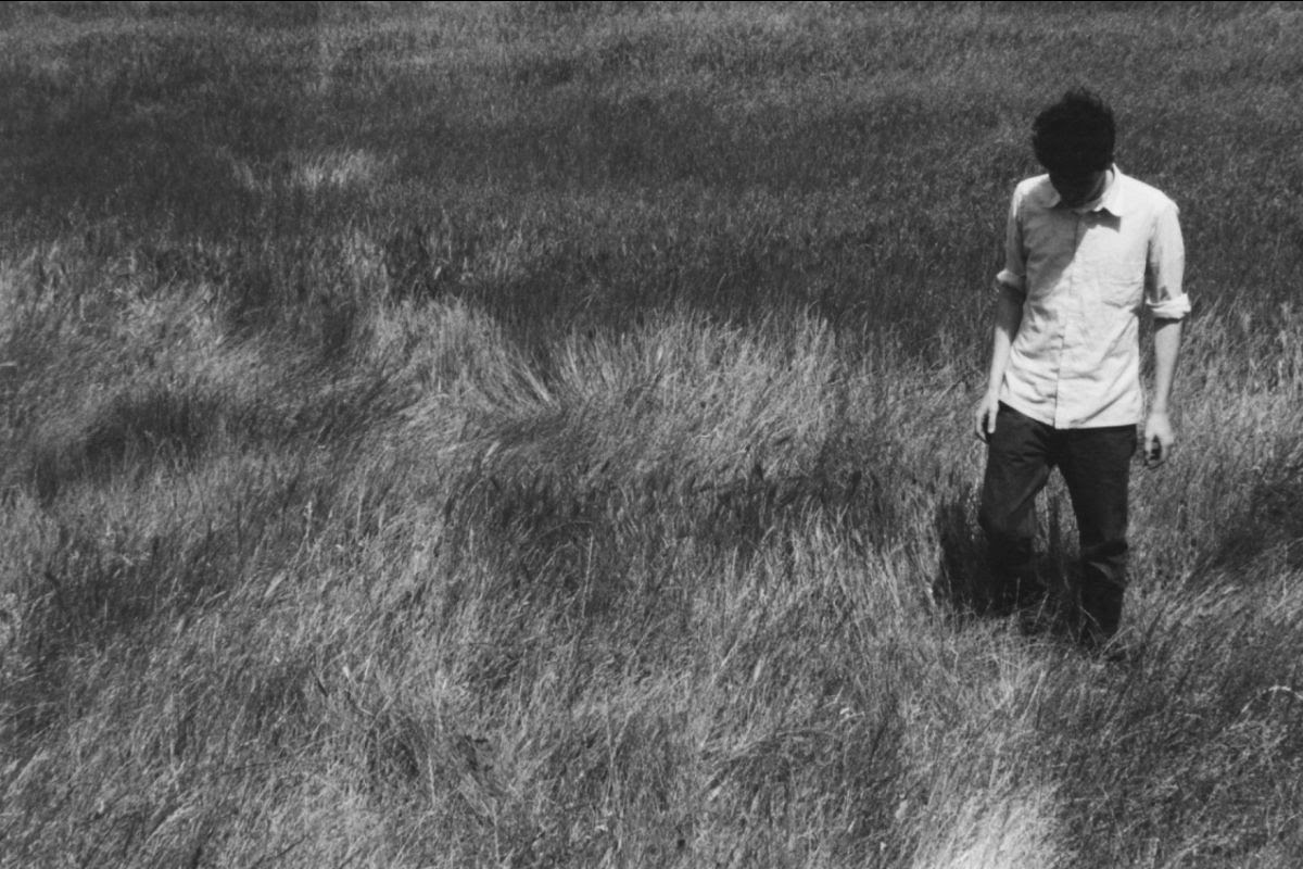 CASS McCOMBS: pubblicata a sorpresa la raccolta “Seed Cake on Leap Year”