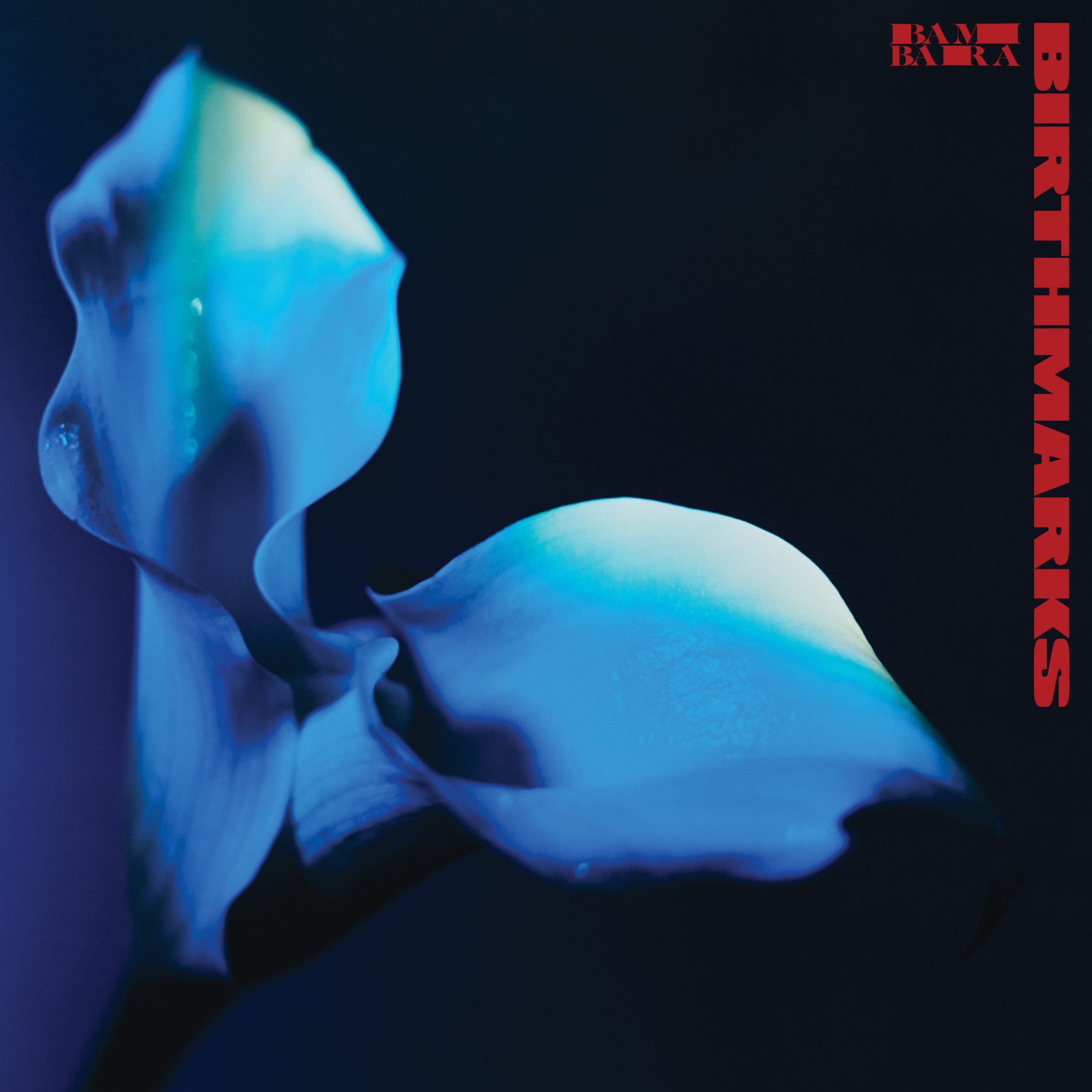 Bambara – Birthmarks