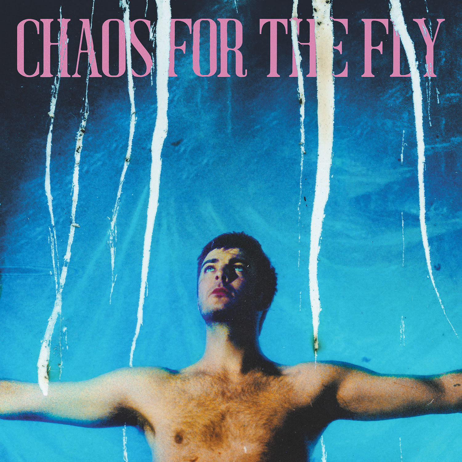 Grian Chatten – Chaos for the Fly