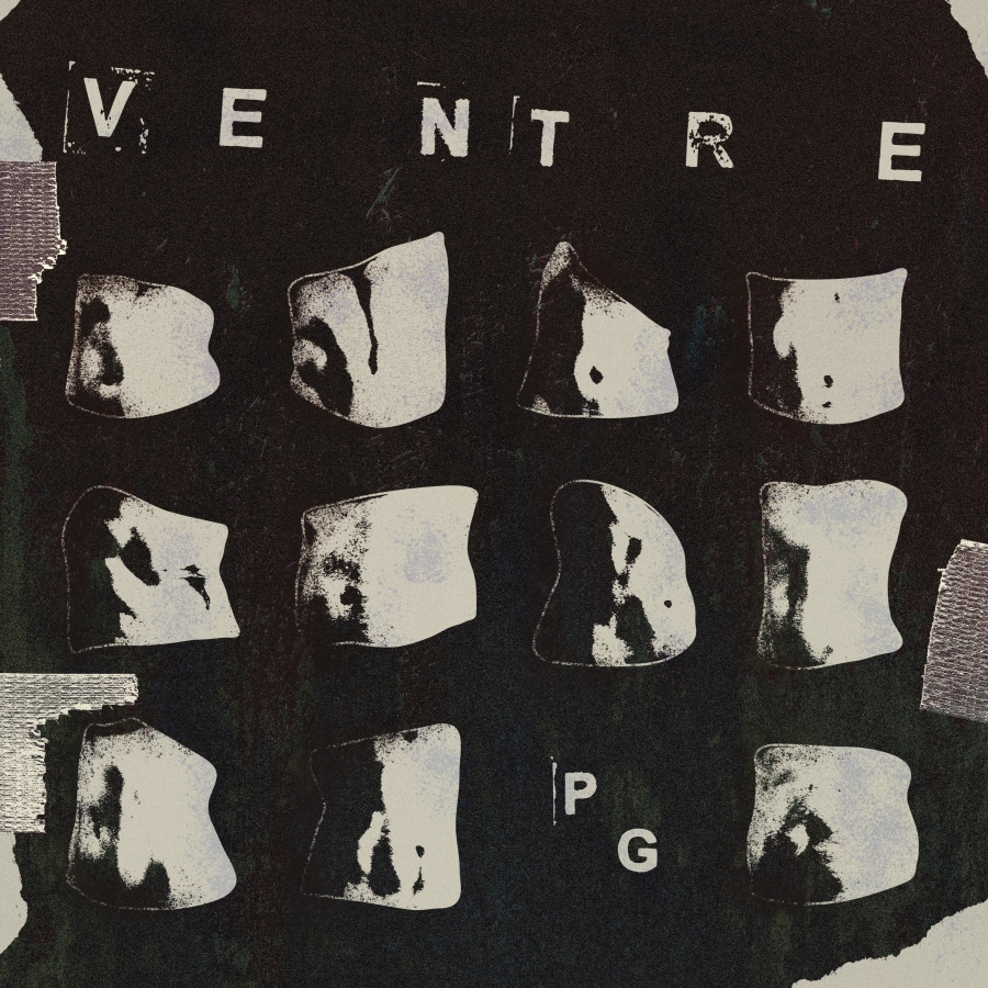 Palmer Generator – Ventre