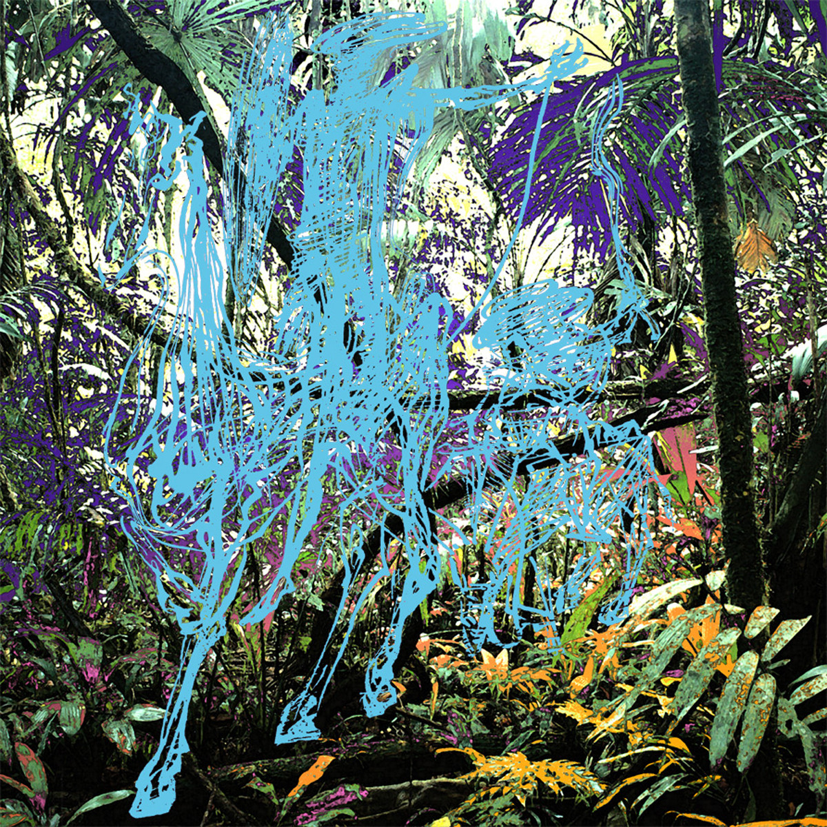 The Shipwreck Bag Show – Don Kixote