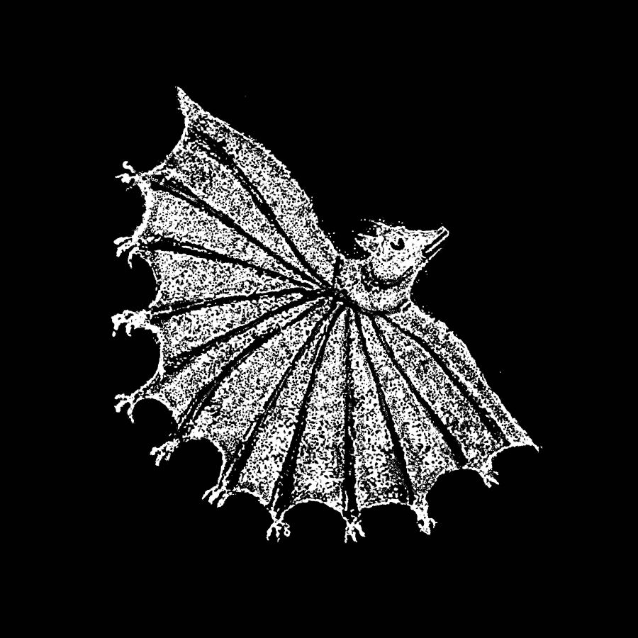 Xiu Xiu – Ignore Grief